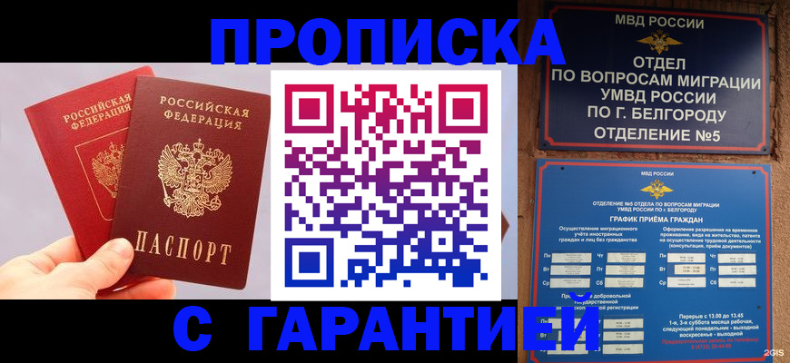 прописка 2025 в Бавлах